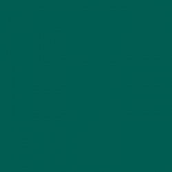 Стеновая панель окрашенная – Econom RAL 6026 (опаловый зеленый)